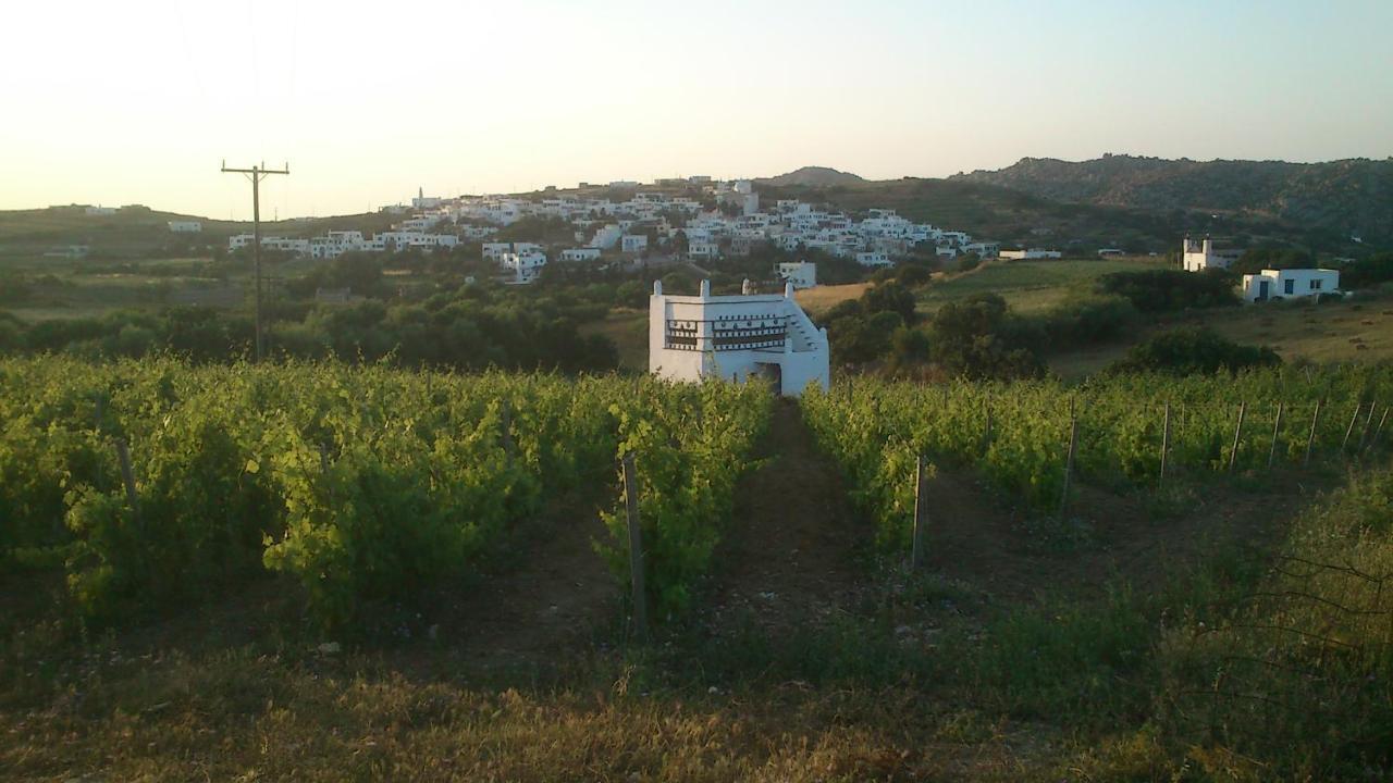 Villa Arokaria Stení Exterior foto
